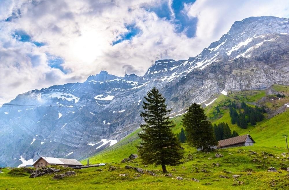 deosai plain in pakistan