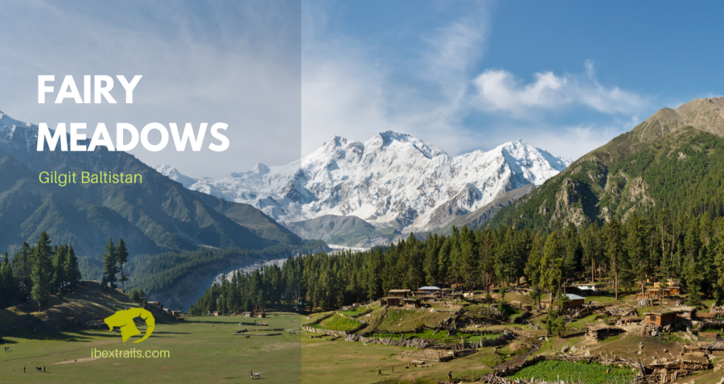 fairy meadows