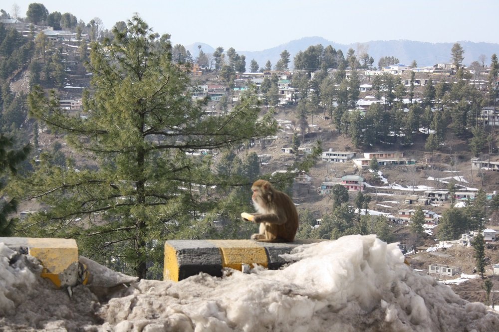 abbottabad city and surrounding areas