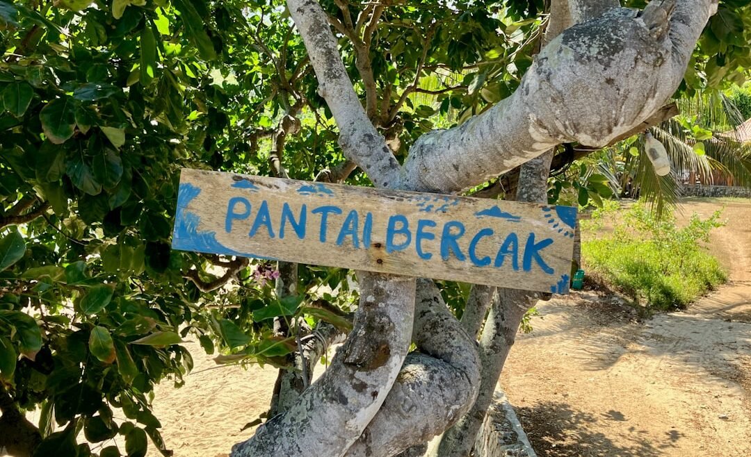 Photo Tropical paradise