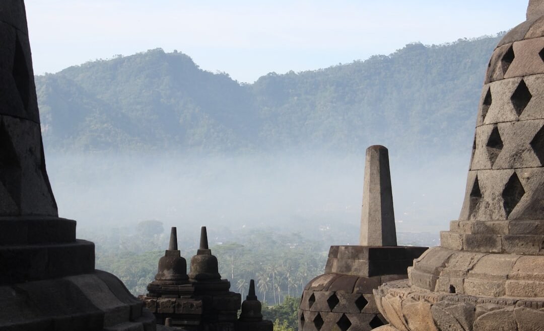 Photo Rainforest trekking