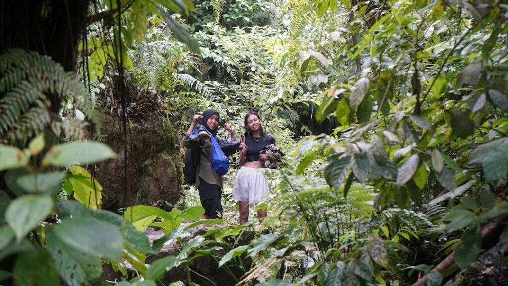 Photo Rainforest trekking