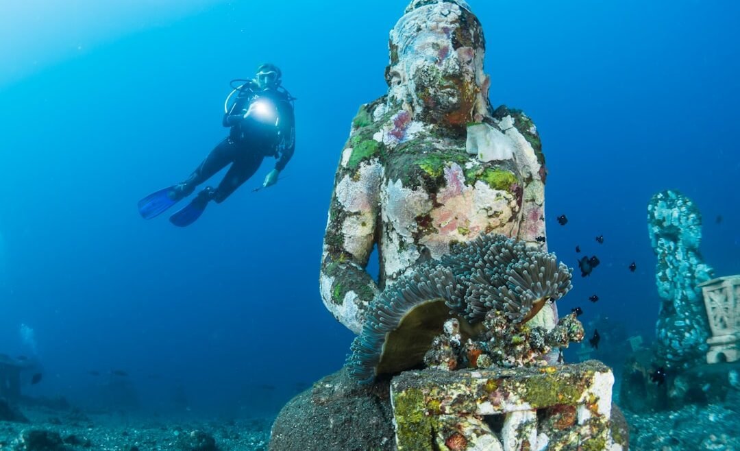 Photo Underwater Paradise