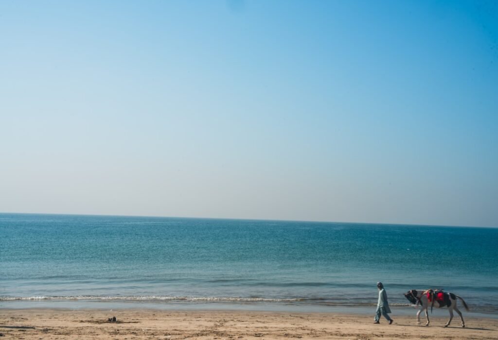 Photo Coastal scenery