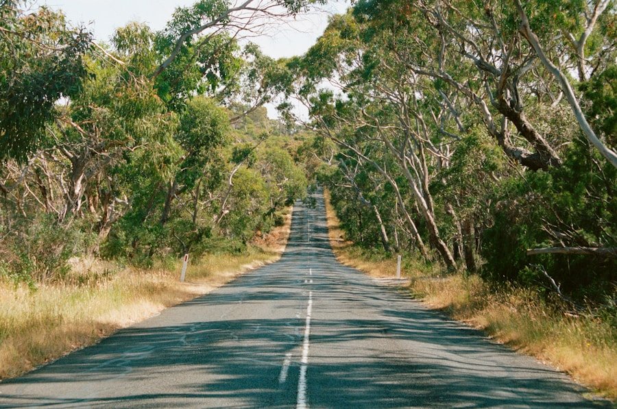 hunter valley nsw