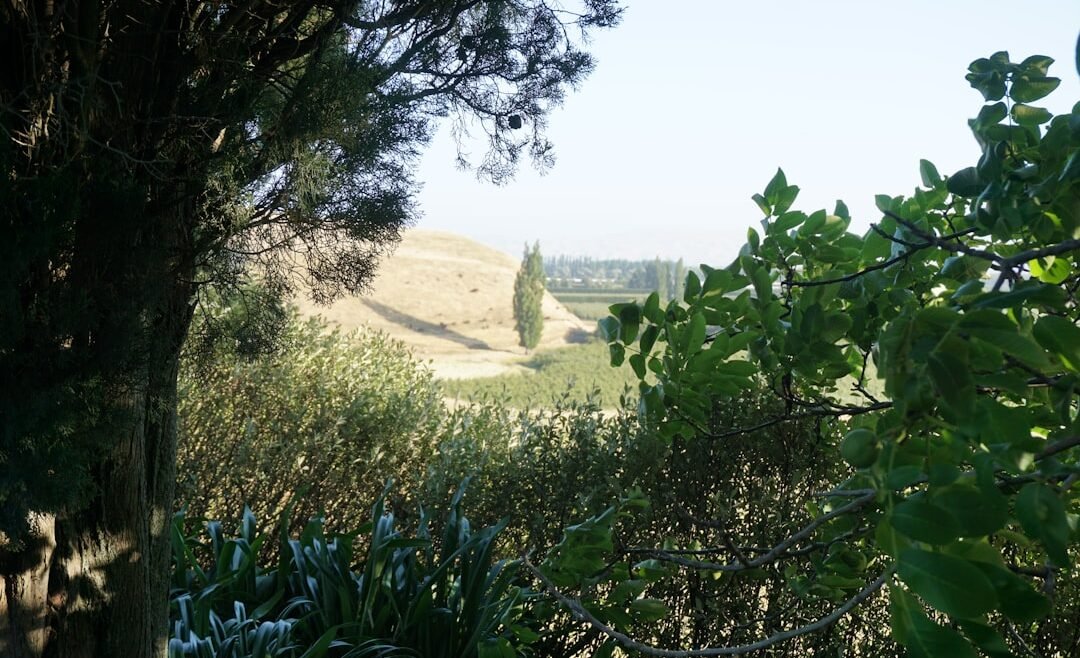 Photo Scenic views