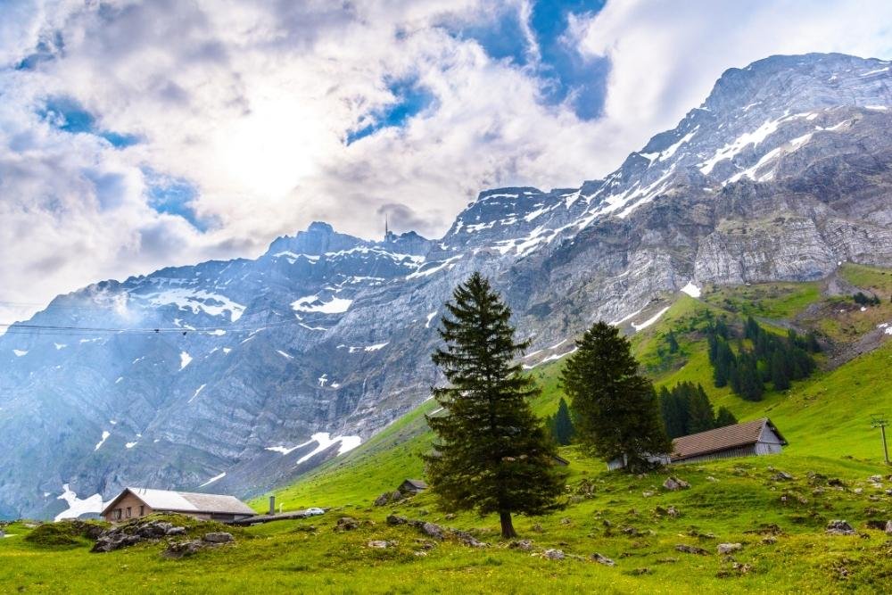 deosai plain in pakistan