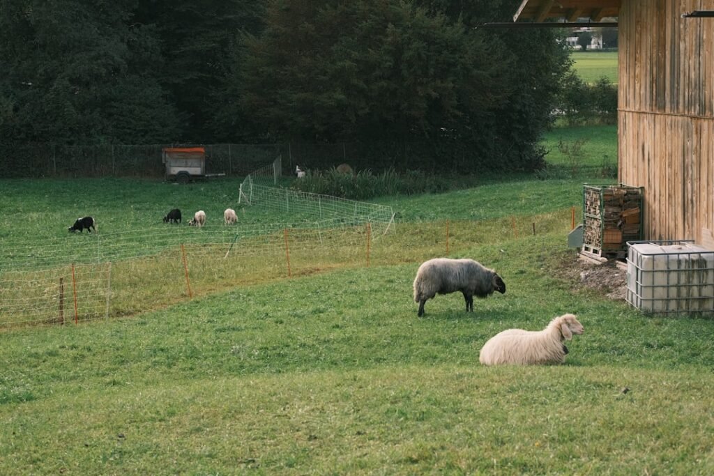 Photo Countryside views