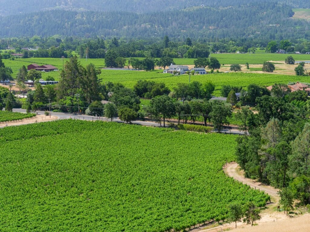 Photo Scenic countryside