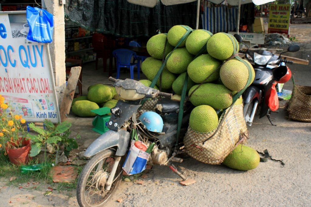 Photo Mekong Delta