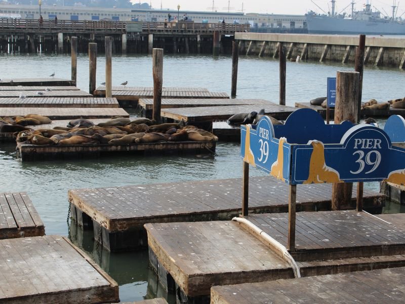 Pier 39