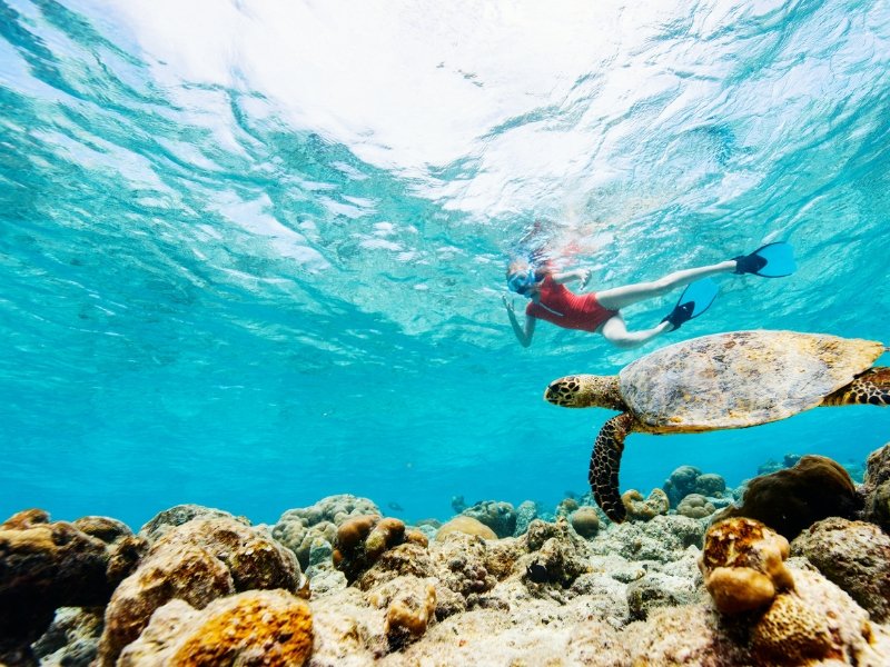 underwater adventures in semporna