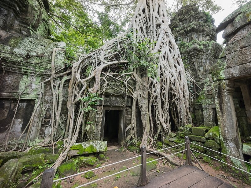 angkor wat temple cambodia