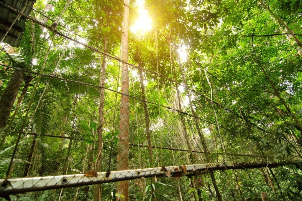 Taman Negara Malaysia