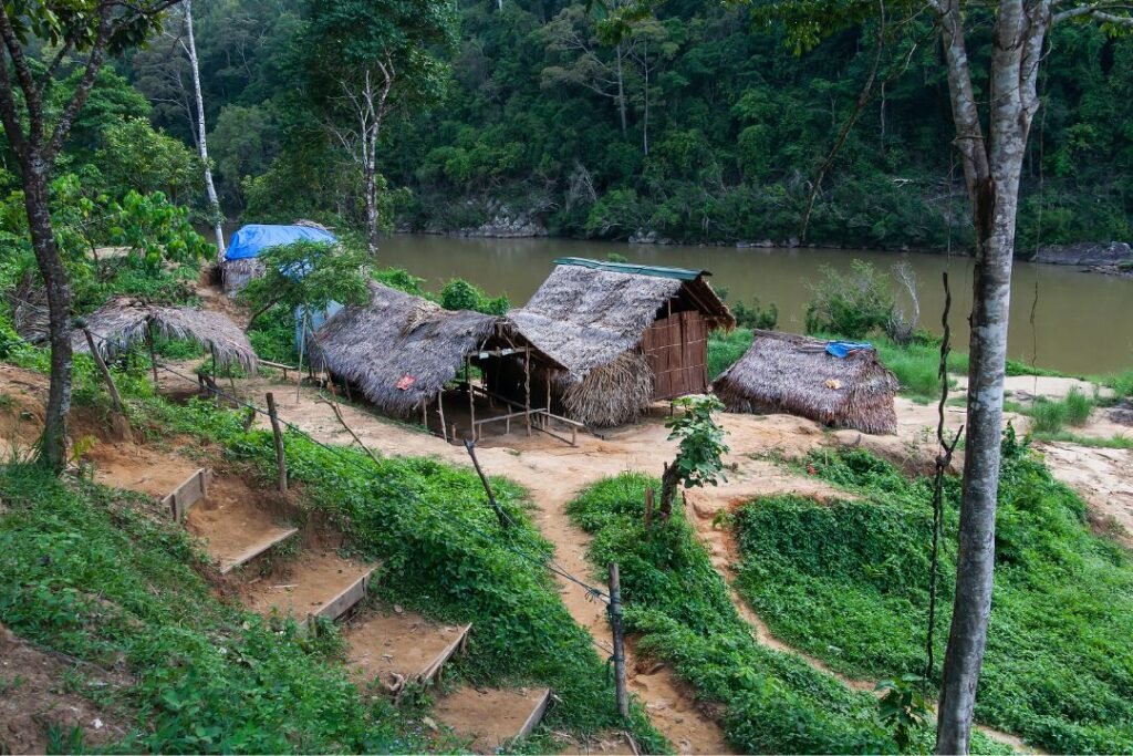 Taman Negara  Malaysia