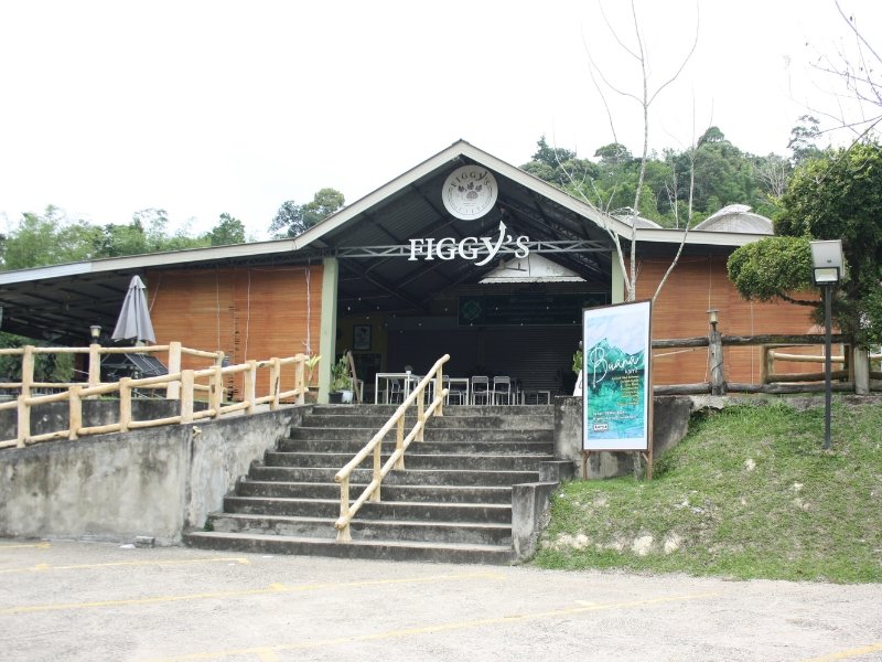 Figgys at Janda Baik